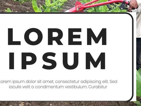 AG193_550g_petrol_weeder_3.webp